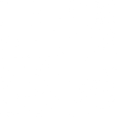 The Gemini watermark shape