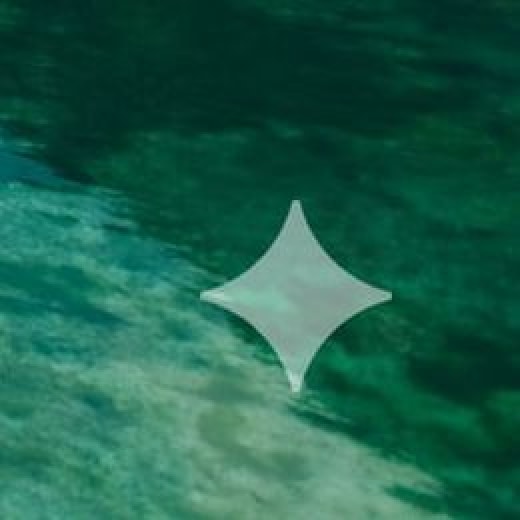 The Gemini watermark enlarged